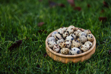 Closeup picture of bird's eggs, being up close together in a bowl.
