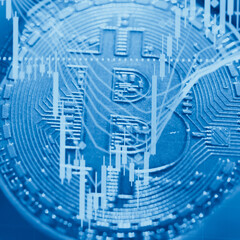 Various type of financial and investment in Bond market. i.e. ETFs, bonds, stocks, crypto currency Sustainable portfolio management, long term wealth management with risk diversification concept.	
