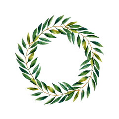 Hand-drawn watercolor collection of the different olives: black and green fruits, branch, leaves, oil in the bottle, sliced olives. Splash watercolor collection of the food illustrations