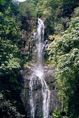 Fototapeta na wymiar Wasserfall auf der Insel Maui, Hawaii