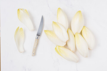 1 kilo Raw chicory on a marble surface with knife