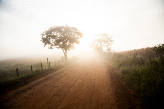 Dirt road between Toledo and Senador Amaral in the Serra da Mantiqueira in Minas Gerais