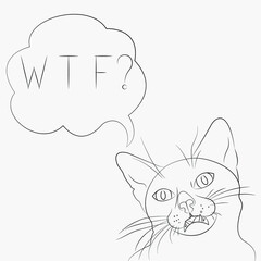 White silhouette Surprised and Indignant cat with speech bubble and question WTF isolated on black background. Simple contour for logo, poster, print. Vector illustration without fill
