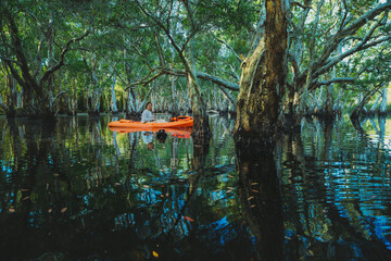 woman sailing sea kayak  at mangrove forest canal