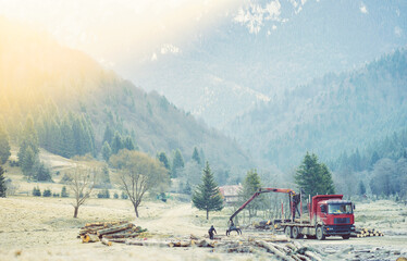 Cutting down trees does disturb ecosystems, the logging industry has become more conscious of this and strives to cut in such a way that minimizes harm to the environment