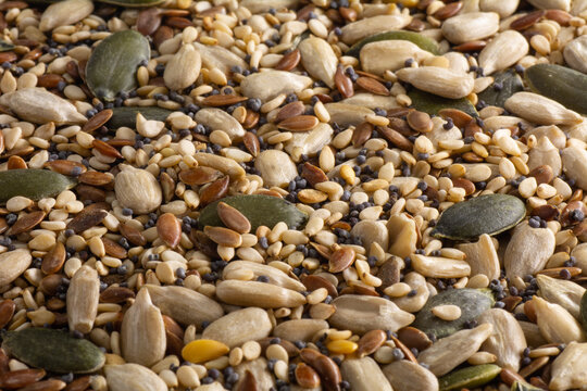 Seeds mix background. Close-up