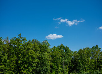 Bäume