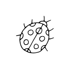 Ladybug. Beetle with polka dots. Insect. Doodle. Vector. Drawn by hand. Sketch. Silhouette. Black and white. Contour. Coloring.