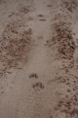 footprint in sand