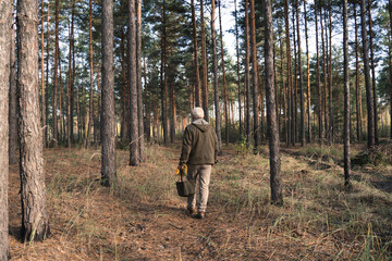 Old man traveling in wild nature while walking through the path among the pine trees