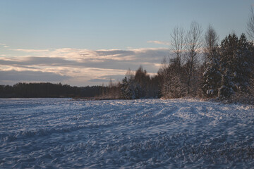 snow covered agricultural field with forest on right side, sunset clouds christmas december