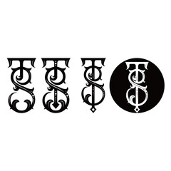 vintage T S letter vector icon logo