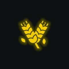 Barley yellow glowing neon icon