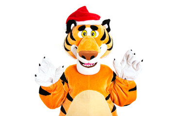 Orange plush new year tiger with red santa claus hat on his head, white background, isolate. Christmas and New Year 2022
