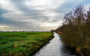 Fototapeta na wymiar Marshland in a new created nature reserve near Utrecht and Hilversum, Netherlands 