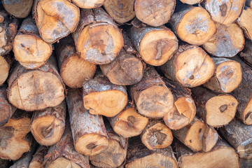 Stack wood tree trunk log stock in forest, woodpile or firewood storage for restaurant or industry.