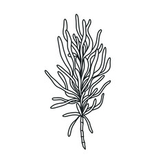ornamental house plant illustration in outline. uncolored element in hand drawn vector for decorating wedding invitations, cards, and any design in floral theme.