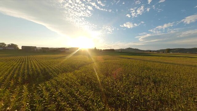 Sunset over beautiful cultivation fields, Aerial FPV Drone Footage