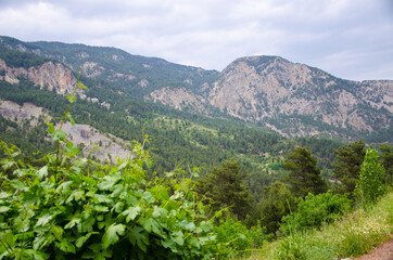 landscape in the mountains