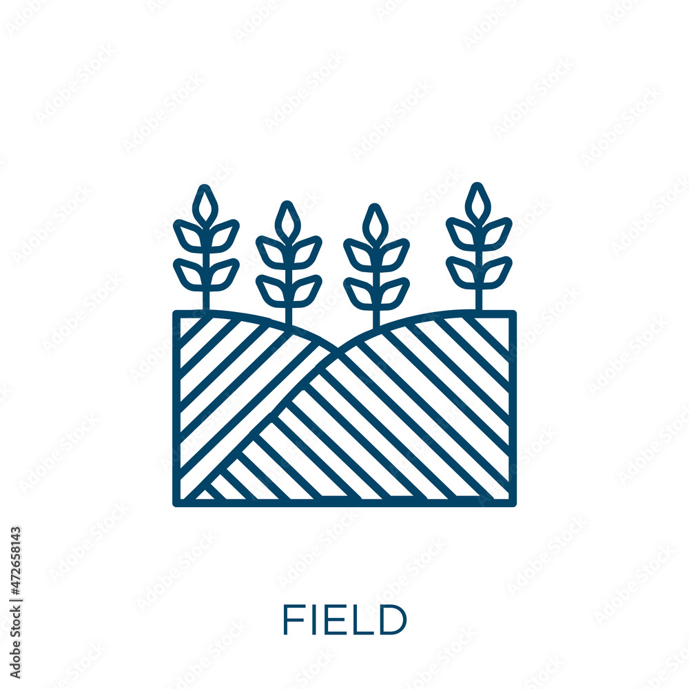 Poster field icon. thin linear field outline icon isolated on white background. line vector field sign, sym