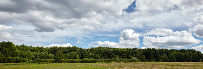 Panoramic photo of dense forest against the sky and meadows. Beautiful landscape of a row of trees...
