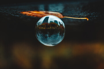 City Lensball View in Centrum of Warsaw, Poland, Europe, Autumn Time.