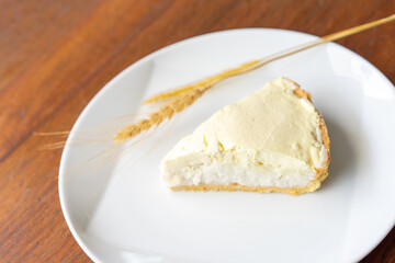 Clear Coconut Cream Pie in the dish on the wood table without anything topping on it. Shooting in the sunlight.