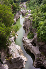 Winding river in a scenic canyon with rock and trees