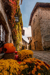 citrouille d'automne 