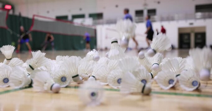 Close up shuttlecocks on racket badminton at badminton courts. Badminton training.