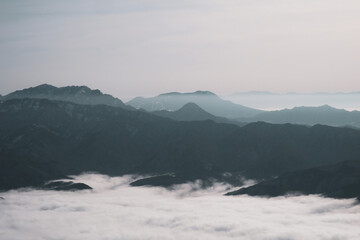 Fototapeta premium 幻想的なシルエット