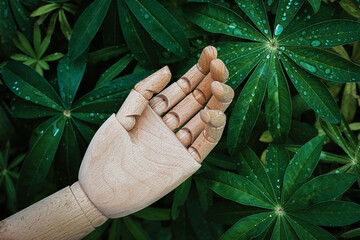 Wooden hand reaches up against background of natural green plants