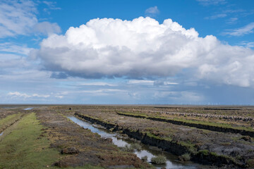 Landschaft auf der Insel Föhr