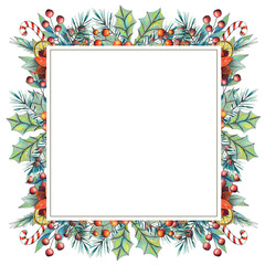 Christmas square frame with poinsettia, leaves, pine and berries. Hand drawn colored pencils illustration.