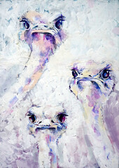 Portrait of Three Ostriches on white background. Hand-drawn illustration.