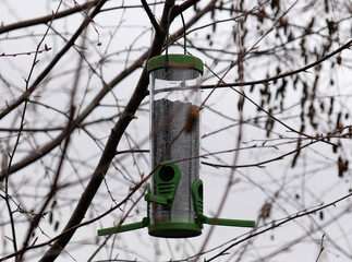 Green plastic bird feeder with sunflower seeds on a tree in the city park or autumn forest. Feed for wild birds in cold season. Cloudy autumn sky. Birch branches without leaves background.