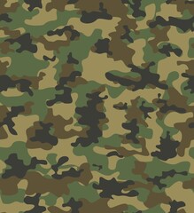 Fototapeta premium Army camo pattern, military uniform, forest modern background, ornament. disguise