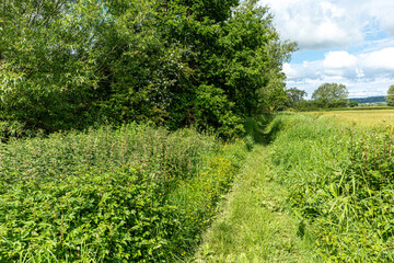 A public footpath beside the disused Coombe Hill Canal, Wainlode, Gloucestershire UK