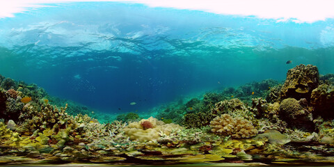 Fototapeta na wymiar Soft and hard corals. Underwater fish garden reef. Reef coral scene. Philippines. Virtual Reality 360.