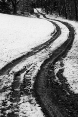 Weg in den Wald bei Schnee