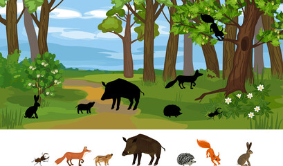 Find the right shade. Educational children matching game with animals living in grove and park. Ecosystem of forest. Diverse inhabitants of grove © Kazakova Maryia