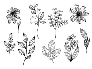 Hand drawn vector set of tree branches, flowers, leaves. Black herb leaf, herbs silhouettes isolated on white background. Botanical illustration for print, wedding card, invitation card, floral poster