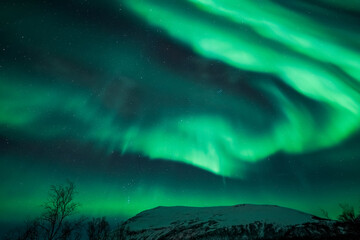 northern light aurora borealis in sweden  - obrazy, fototapety, plakaty