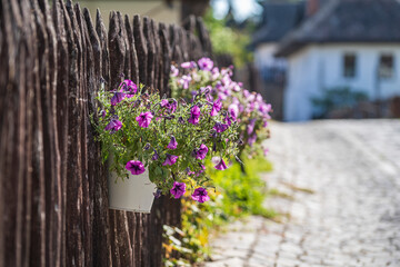 Old rural wooden fence with flowers on the street in ethnographic village Holloko in Hungary, Europe