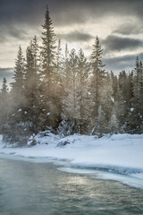 Canada, Alberta, Banff National Park, Sunrise sparkles on the Bow River