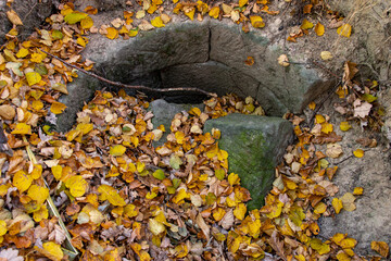 An old well with a damaged stones wall is covered with autumn leaves