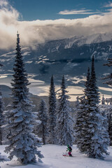 Tree skiing at Revelstoke Mountain Resort, British Columbia Canada, and views of Columbia River Valley