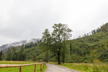 Landscape of mountains