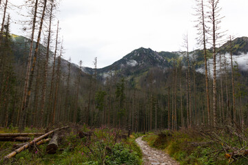 Landscape of mountains
