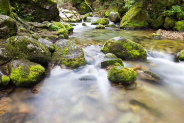 The river in mountain